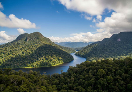 Aerial view of the lake and mountains in the national park of Sri Lankaの写真素材