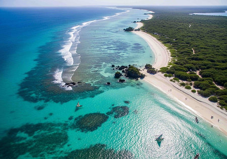 Aerial view of beautiful tropical island with white sand beach and blue seaの写真素材
