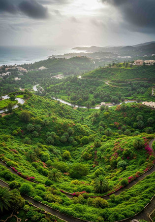 Rhododendron garden on the island of Crete, Greeceの写真素材