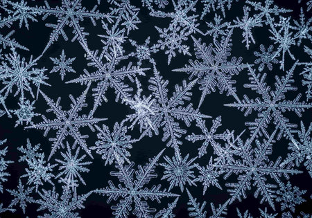 snowflakes on a dark blue background. close-upの写真素材
