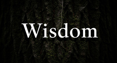 \"\"Wisdom\"\" in white on tree bark\""の写真素材
