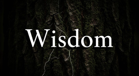 "Wisdom" on tree in forestの写真素材