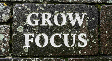 Growth FOCUS sign on a brick wall in Scotland.の写真素材
