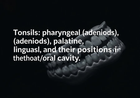 Teeth with dental inscriptions on a black background. Dental concept.