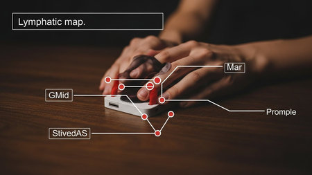 Female hand using a white computer mouse with a diagram on the screenの写真素材
