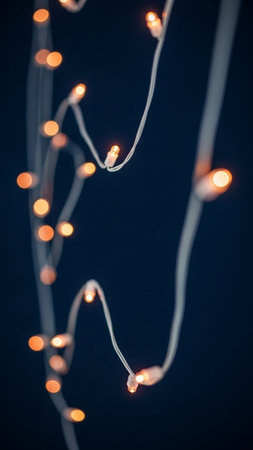 Christmas lights on a dark background. Bokeh effect. Copy space.