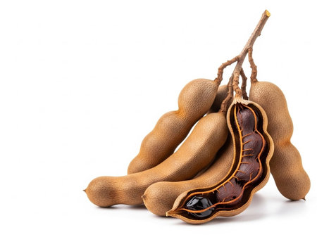 Tamarind isolated on white background. Sweet tamarind.の写真素材