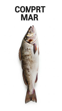 Fresh fish on a white background. Top view. Copy space.