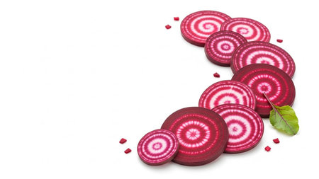 Fresh beetroot slices on a white background with space for text.