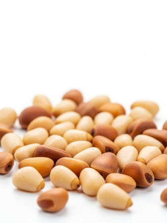 Pine nuts over white background. Shallow depth of field.の写真素材