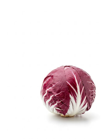Radicchio on a white background with copy space for your textの写真素材