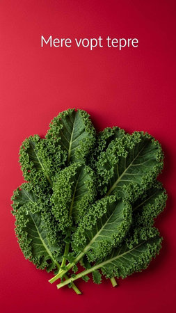 Fresh kale leaves on red background. Top view, copy space.