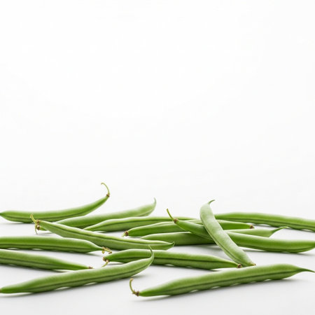 Green beans isolated on white background with copy space for your text.の写真素材