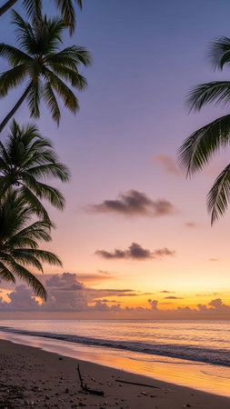 Beautiful sunset on the beach with coconut palm trees in the foreground