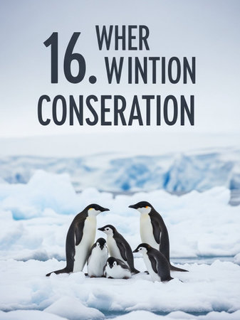 \Inscription \"\"We're invitation to Antarctica\"\" with penguins on the ice.\""の写真素材