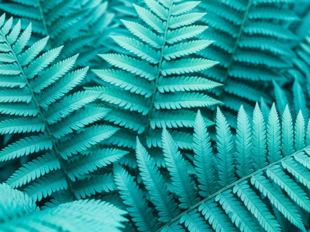 Green fern leaves background. Close up of fern leaves.の写真素材