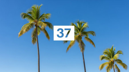 Number 37 on a white signboard against palm trees and blue skyの写真素材