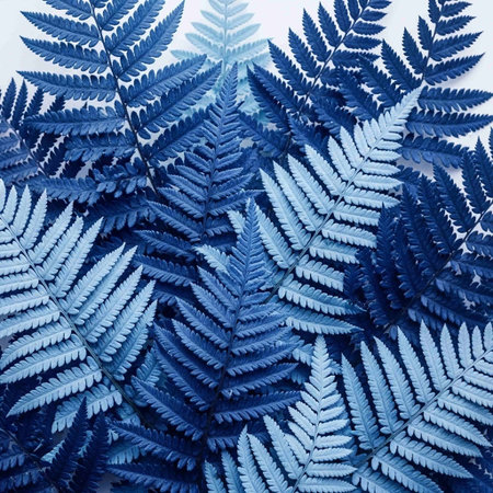 Blue fern leaves on a white background. Flat lay, top view.の写真素材