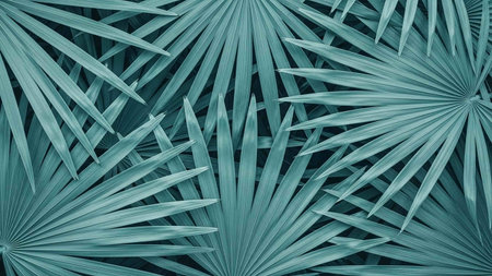 Palm leaves background. Tropical leaves texture. Flat lay, top viewの写真素材