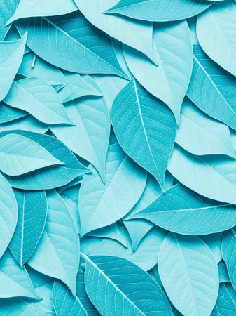 Blue leaves background. Nature and environment concept. Minimal style.の写真素材