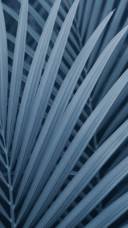 Palm leaf close-up. Blue toned. Nature backgroundの写真素材