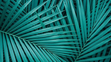 Tropical green palm leaf background. Nature concept. Vintage toneの写真素材
