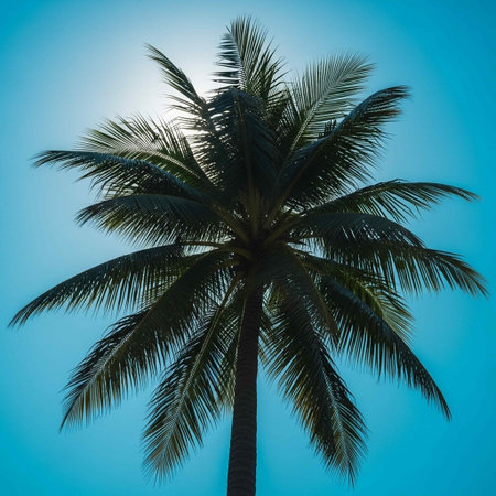 Coconut palm tree on blue sky background, vintage tonedの写真素材