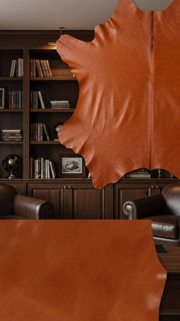 Interior of modern living room with brown leather sofa and bookcase. 3d render