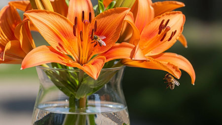 Orange lily in a glass vase with a bee on the background