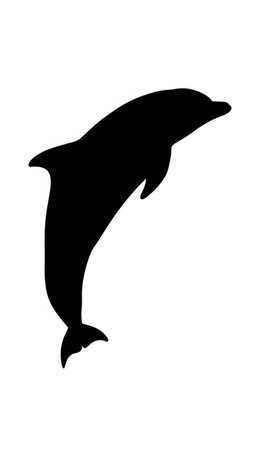 Dolphin silhouette isolated on white background.の写真素材