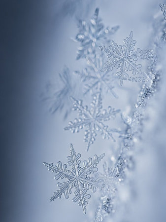 snowflakes on blue background, macro photo of snowflakes