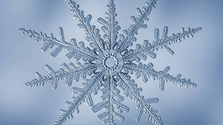 Snowflake on a blue background. Close-up of a snowflake.