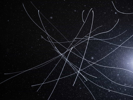 spider web on a black background with stars and space for text
