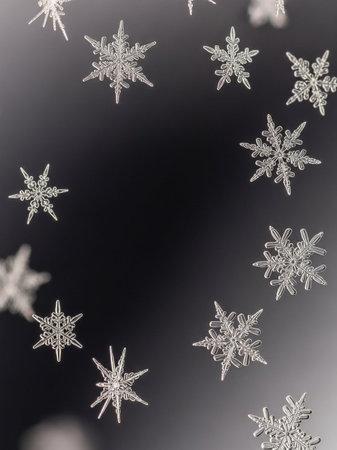 Snowflakes on a black background. Macro shooting with shallow depth of field.