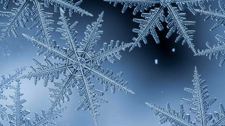 Snowflakes on a dark blue background. 3D illustration.