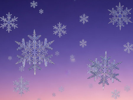 Snowflakes on a purple background. Christmas background with snowflakes.