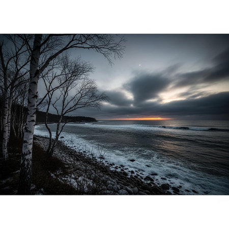 A serene beach landscape at sunset with bare trees and rocky shoreline