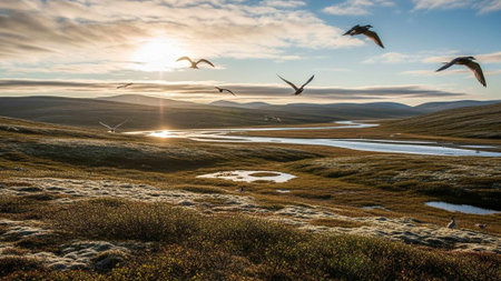 Seagulls soaring above a tranquil wetland landscapeの写真素材