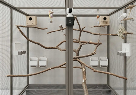 3D render of a birdhouse in a cage