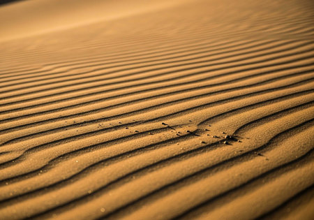 Sand dunes in the Sahara desert, Morocco. Toned.