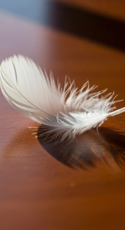 A single white feather lies on a wooden surface in soft natural light