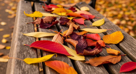 Autumn leaves on a bench in the park. Autumn background.の写真素材