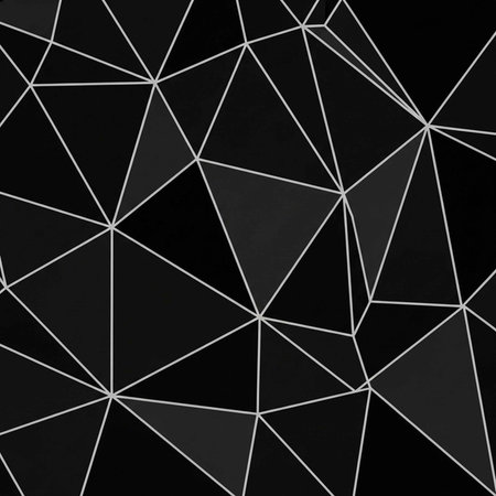A black background with a geometric pattern of white lines and trianglesの写真素材
