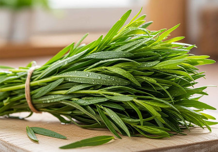 A bunch of fresh tarragon herbs tied with a string on a wooden cutting boardの写真素材