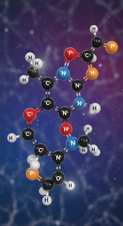 Detailed 3D rendering of a nucleic acid molecule with color-coded atoms.の写真素材