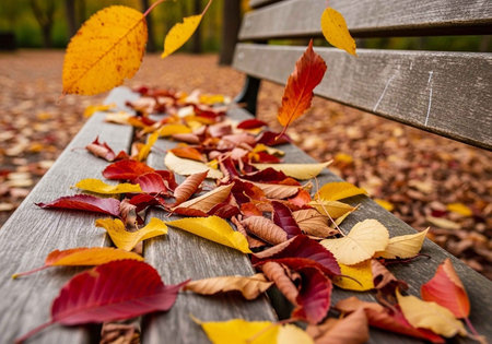 A wooden bench covered with colorful autumn leaves in a serene outdoor settingの写真素材