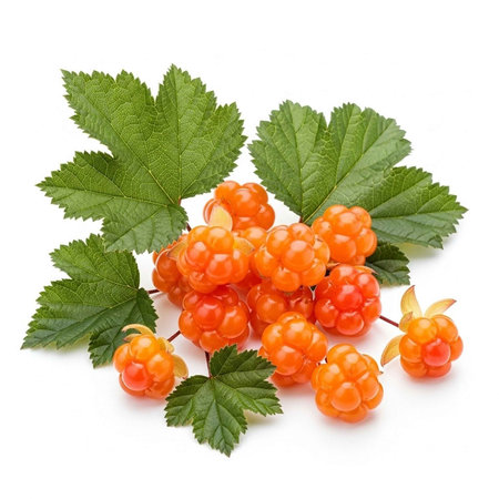 A vibrant cluster of orange berries with green leaves on a white background