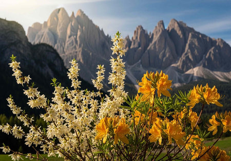 A serene mountain landscape with vibrant yellow and white flowers in the foregroundの写真素材