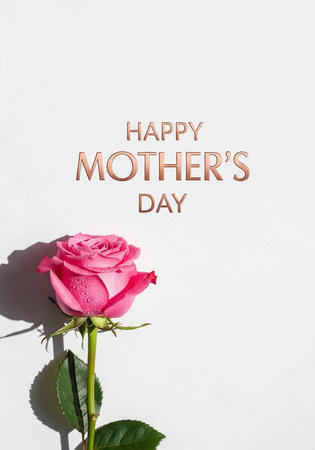 A pink rose with green leaves and Happy Mother's Day text on white backgroundの写真素材