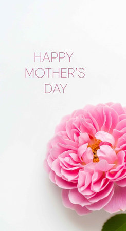 Pink flower with yellow center and green leaf on white background with Happy Mother's Day textの写真素材